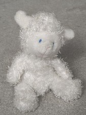 Adorable mini sheep for sale  WARRINGTON