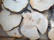 Baumscheibe apfel bastelholz gebraucht kaufen  Sehmatal