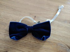 Dunkelblaue samtschleife flieg gebraucht kaufen Dunkelblaue samtschleife flieg gebraucht kaufen  Wörth am Rhein