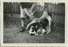 Old photo vintage d'occasion  Expédié en Belgium