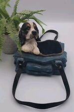 King charles cavalier for sale  Winston Salem