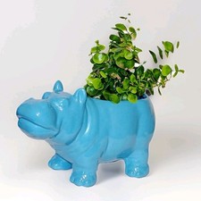 Hippopotamus ceramic planter for sale  Provo