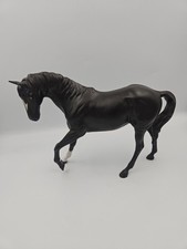 black beauty horse for sale  NESTON