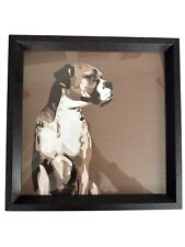 Boxer german dog for sale  Indianapolis