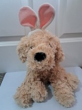 Tesco curtis cavapoo for sale  NOTTINGHAM