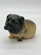 2001 chinese pug for sale  Simpsonville