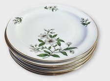 Vintage franconia 21cm for sale  BLAENAU FFESTINIOG