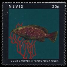 NEVIS 1771 - Garoupa de pente "Mycteroperca fusca" (pb55063) comprar usado  Enviando para Brazil