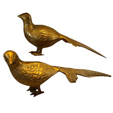 Brass pheasants birds for sale  San Bruno