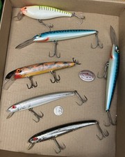 rapala magnum floating 14 for sale rapala magnum floating 14 for sale Valparaiso