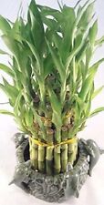 Stalks tall tower for sale  Hacienda Heights