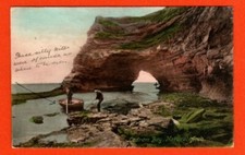 561007 postcard ladram for sale  FROME