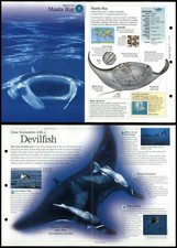 Manta ray fish for sale  SLEAFORD