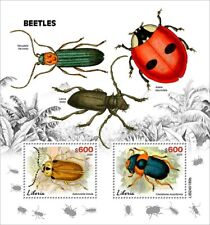 2025 liberia beetles d'occasion  Brunoy