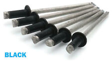 Usado, Rebites Pop 1/8" diâmetro #4 rebites cegos de aço inoxidável pintados - Selecione a cor comprar usado  Enviando para Brazil