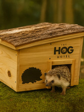 Wooden hedgehog house for sale Wooden hedgehog house for sale  HAVERHILL