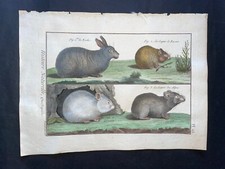 1782 buffon stampa usato 1782 buffon stampa usato  Manzano