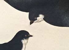 Nozeman 1770 hirundo gebraucht kaufen  Düsseldorf