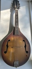 Washburn mandolin 1sts for sale  Hopkins