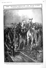 Old 1916 horses for sale  UK