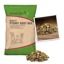 Pygmy goat mix for sale  GOOLE