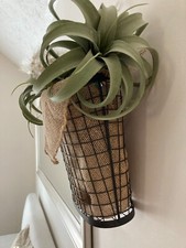 Hanging indoor wall for sale  Atlanta