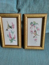 Two beautiful hummingbird for sale  Southwick