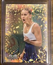 Marta kostyuk 2024 for sale  West Winfield