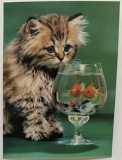 Hologram cat postcard for sale  Pflugerville