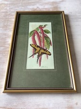 Cash woven swordtail for sale  CHESTERFIELD