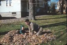 1950s boys helping for sale  Hiram