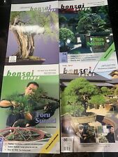 Bonsai bonsai focus for sale  HUNTINGDON