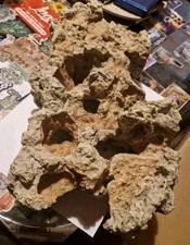 Aquarium deko koralle gebraucht kaufen  Ludwigsfelde