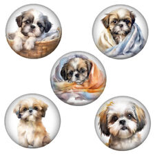 Set shih tzu d'occasion  Expédié en Belgium