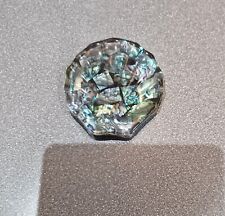 Vintage lucite abalone for sale  GREAT YARMOUTH
