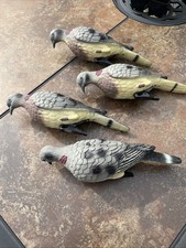 Set dove decoys for sale  Jersey Shore