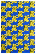 Warhol andy arte usato  Vittuone