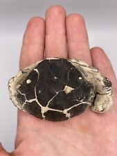 Isle sheppey crab for sale  MAIDSTONE