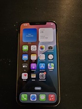 Apple iPhone 12 Pro Max - 256GB - Oro (Sbloccato), usado comprar usado  Enviando para Brazil