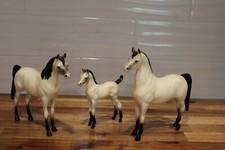 Hartland arabian family for sale  Indian Hills