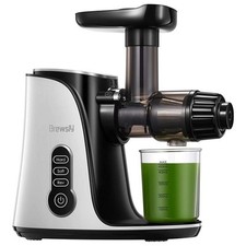Entsafter slow juicer gebraucht kaufen  Bad Bramstedt
