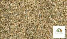 20kg budgie seed for sale  NEWTON-LE-WILLOWS