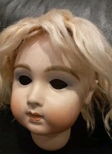 Long face jumeau for sale  ABERTILLERY