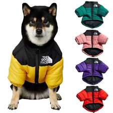 The dog face. usato The dog face. usato  Italia