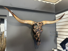 Longhorn bull skull for sale  Marinette