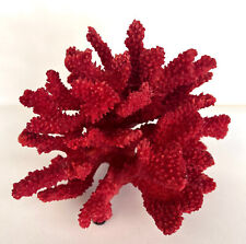 Red coral branch for sale  Laguna Beach