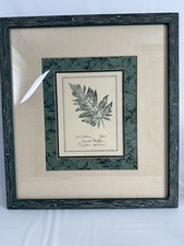 Botanical fern prints for sale  North Augusta