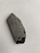 Palasite meteorite rare for sale  AYLESBURY