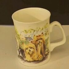 English yorkshire terrier for sale  UK
