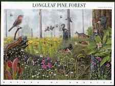 2002 longleaf pine for sale  THETFORD